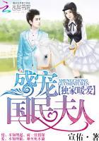 独家暖爱:盛宠国民夫人